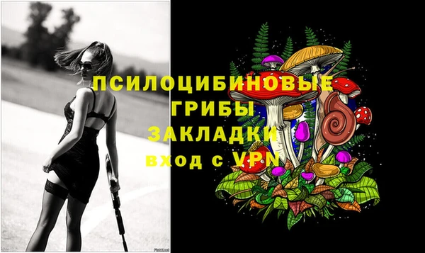 СК Заволжск